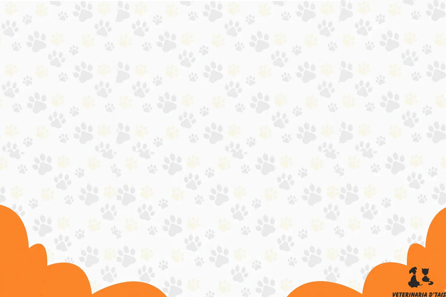 fondo_vet