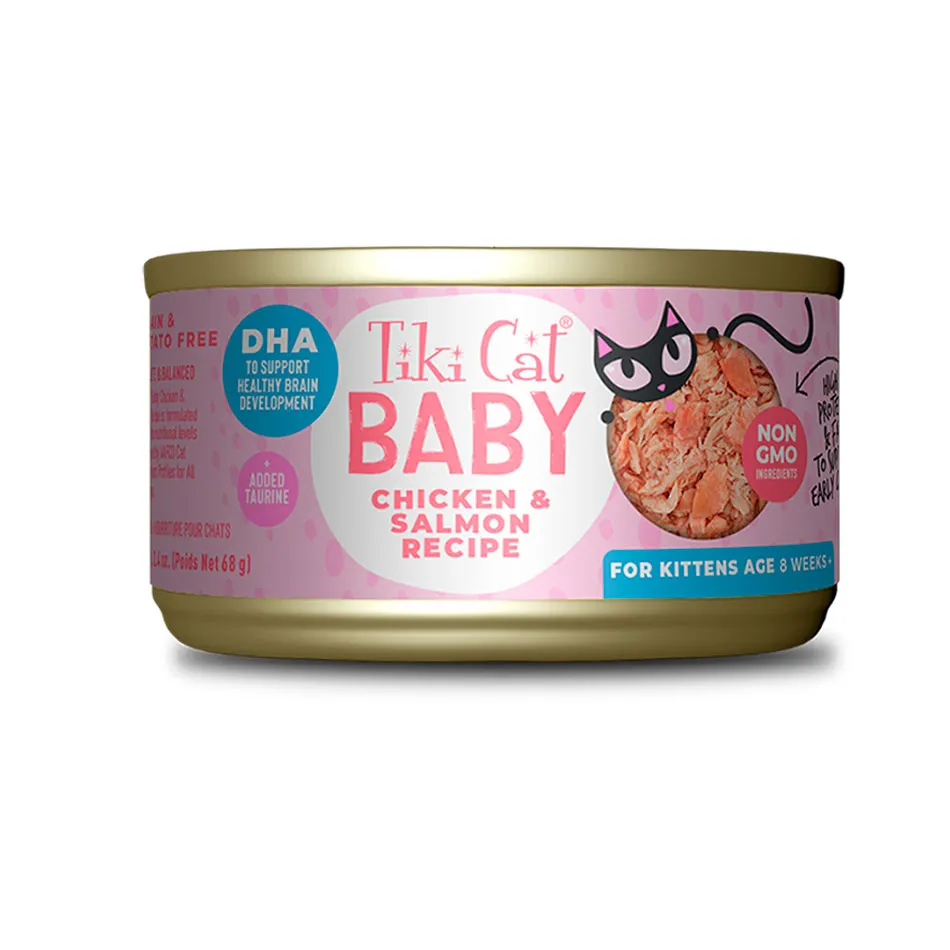 Mousse_kitten_chiken_and_egg-2.webp