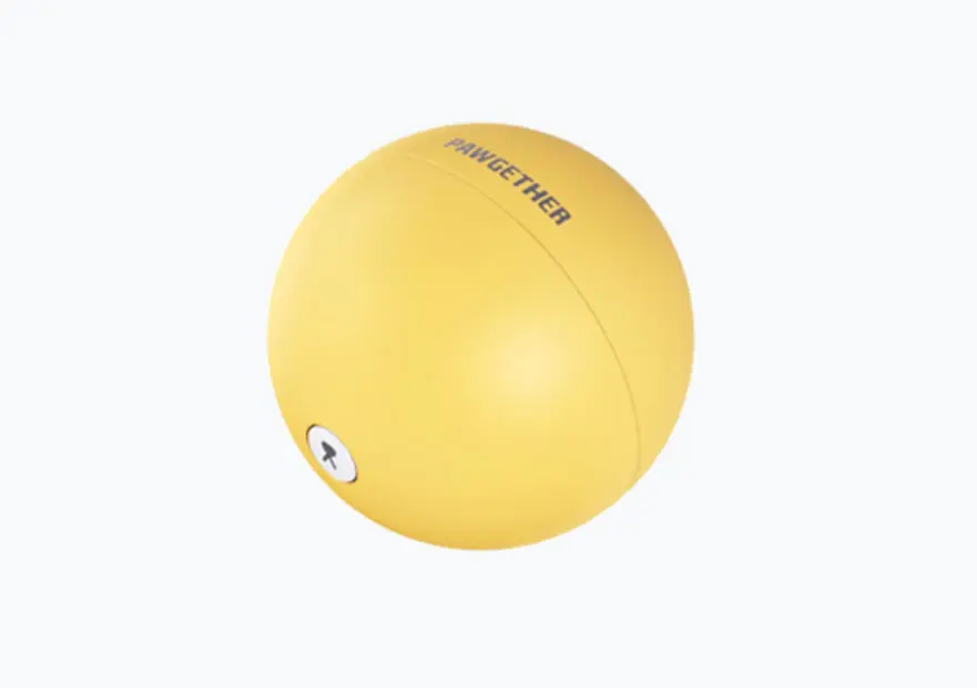 PAWGETHER PELOTA INTERACTIVA MÓVIL