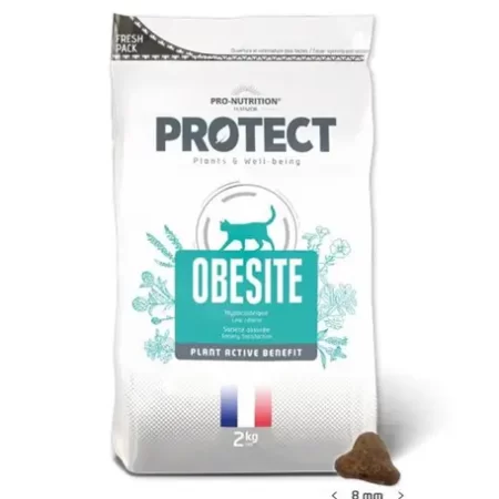 PROTECT OBESITE 2KG
