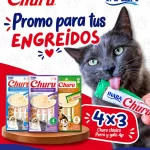 churu1