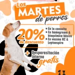 martes de perro 1