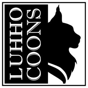 LuhhoCoons